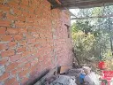 1225835258.webp