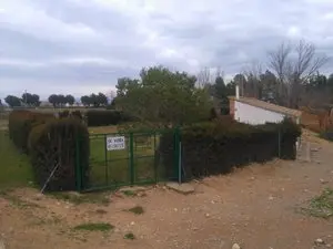 1217105659.webp