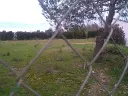1217105642.webp