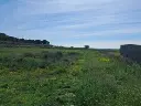 1220313372 (1).webp