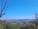 1222709202.webp