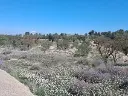 1222709224.webp