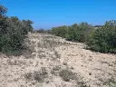 1222709131.webp