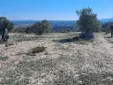 1222709213.webp