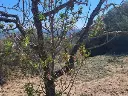 1222709151.webp