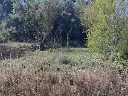 1234101191.webp