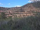 1236209902.webp