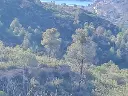 1236209882.webp