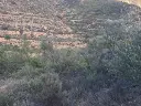 1236209907.webp
