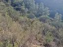 1236209905.webp