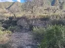 1236209906.webp