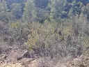 1236209904.webp