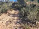 1236209899.webp