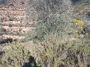 1236209900.webp
