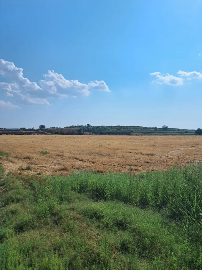 WhatsApp Image 2025-08-29 at 12.27.05 (2).webp