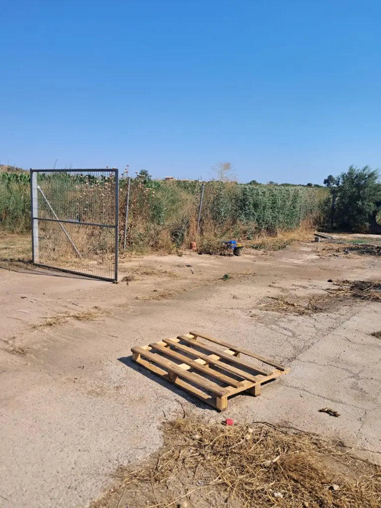 WhatsApp Image 2025-08-29 at 12.27.04 (1).webp