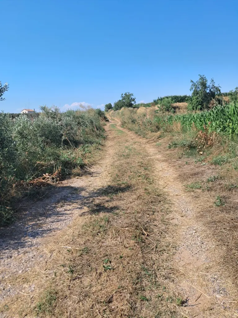 WhatsApp Image 2025-08-29 at 12.27.07 (1).webp