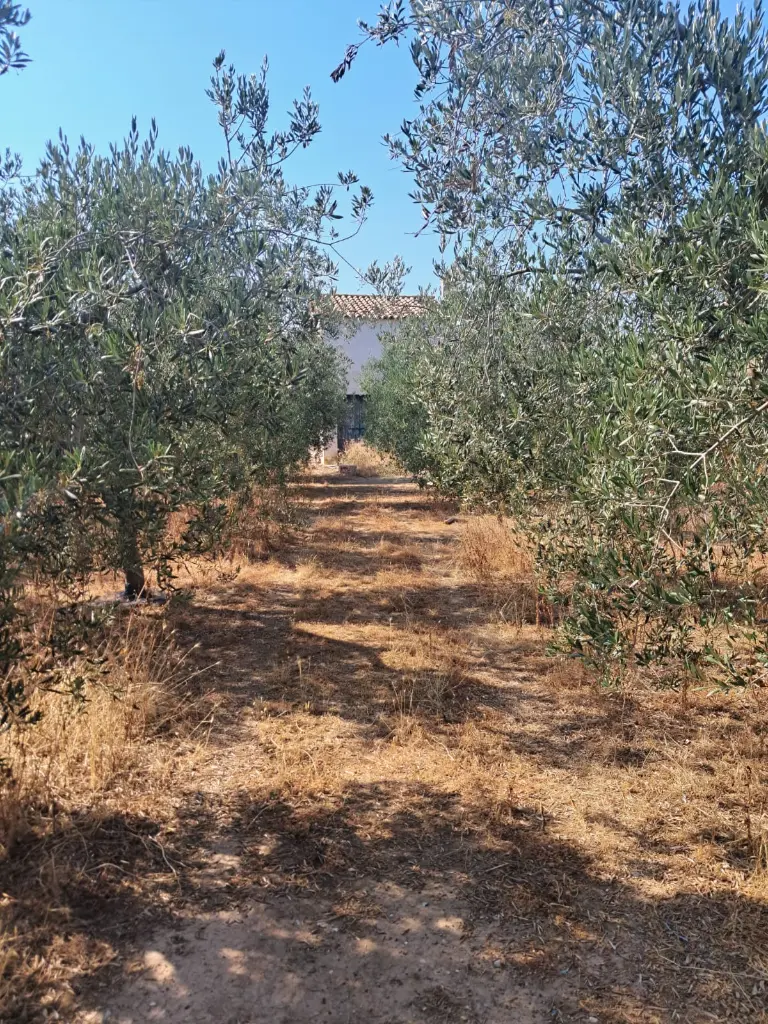 WhatsApp Image 2025-08-29 at 12.27.08 (1).webp