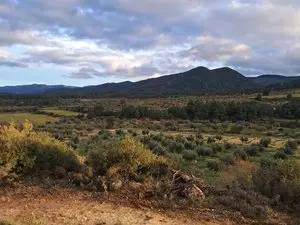 Terreno cerca de PRADES (Tarragona).